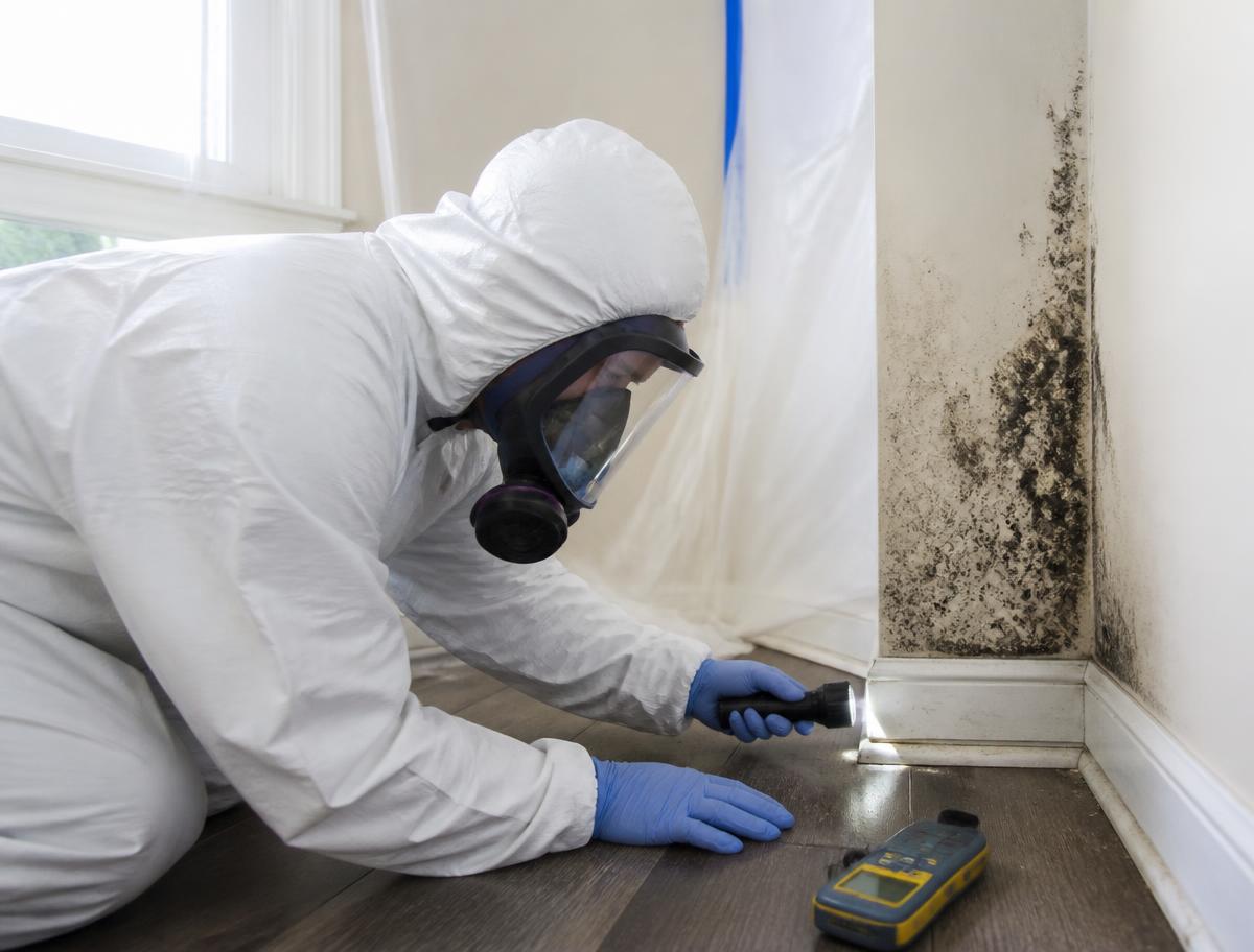 Technician in a protective suit inspecting mold behind removed drywall